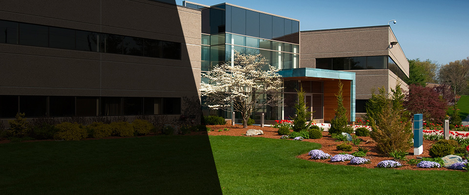 Camp Hill Landscapers