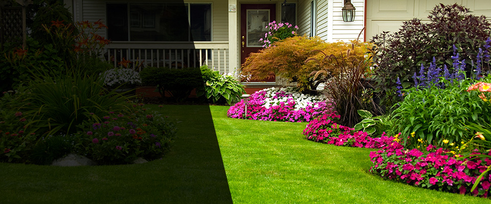 Camp Hill Landscapers