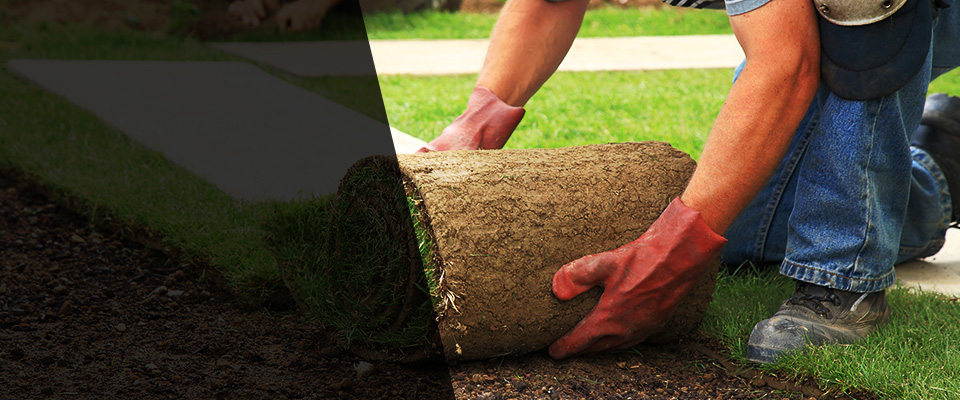 Camp Hill Landscapers